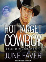 Hot_Target_Cowboy